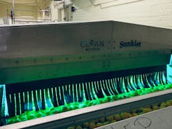 The food industry uses the Clean Works Clean Flow Mini to kill 99.9% of pathogens, providing a more effective and consistent cleaning process while reducing water consumption. The food industry uses the Clean Works Clean Flow Mini to kill 99.9% of pathogens, providing a more effective and consistent cleaning process while reducing water consumption.