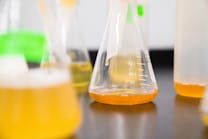 Flask Vial Beaker Science Lab Analysis Elevate U Z St J Yqgw Y0 Unsplash