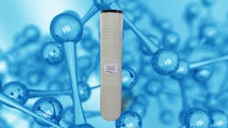 Polycera From Web 5f1609057bd01 Polycera From Web 5f1609057bd01