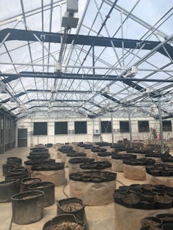 Bins with different strains of seeded marijuana plants at an indoor growing operation in Nevada. Bins with different strains of seeded marijuana plants at an indoor growing operation in Nevada.
