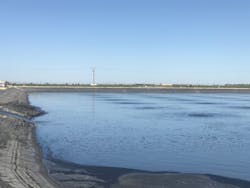 Food processing plant pond. Food processing plant pond.