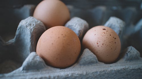 Selective Focus Photo Of Three Eggs On Tray 600615 Photo By Monserrat Soldu From Pexels