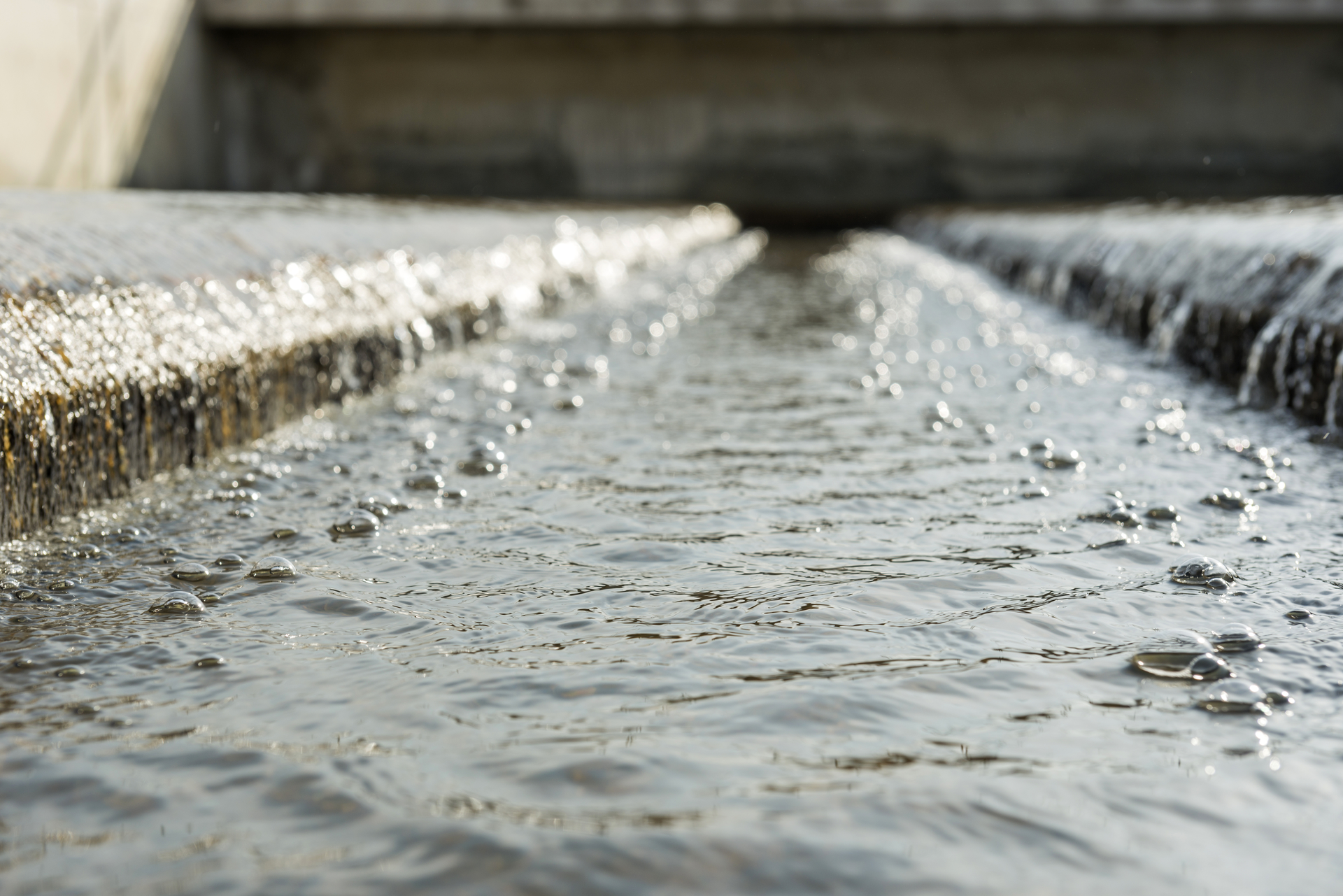 Dreamstime L 50639271