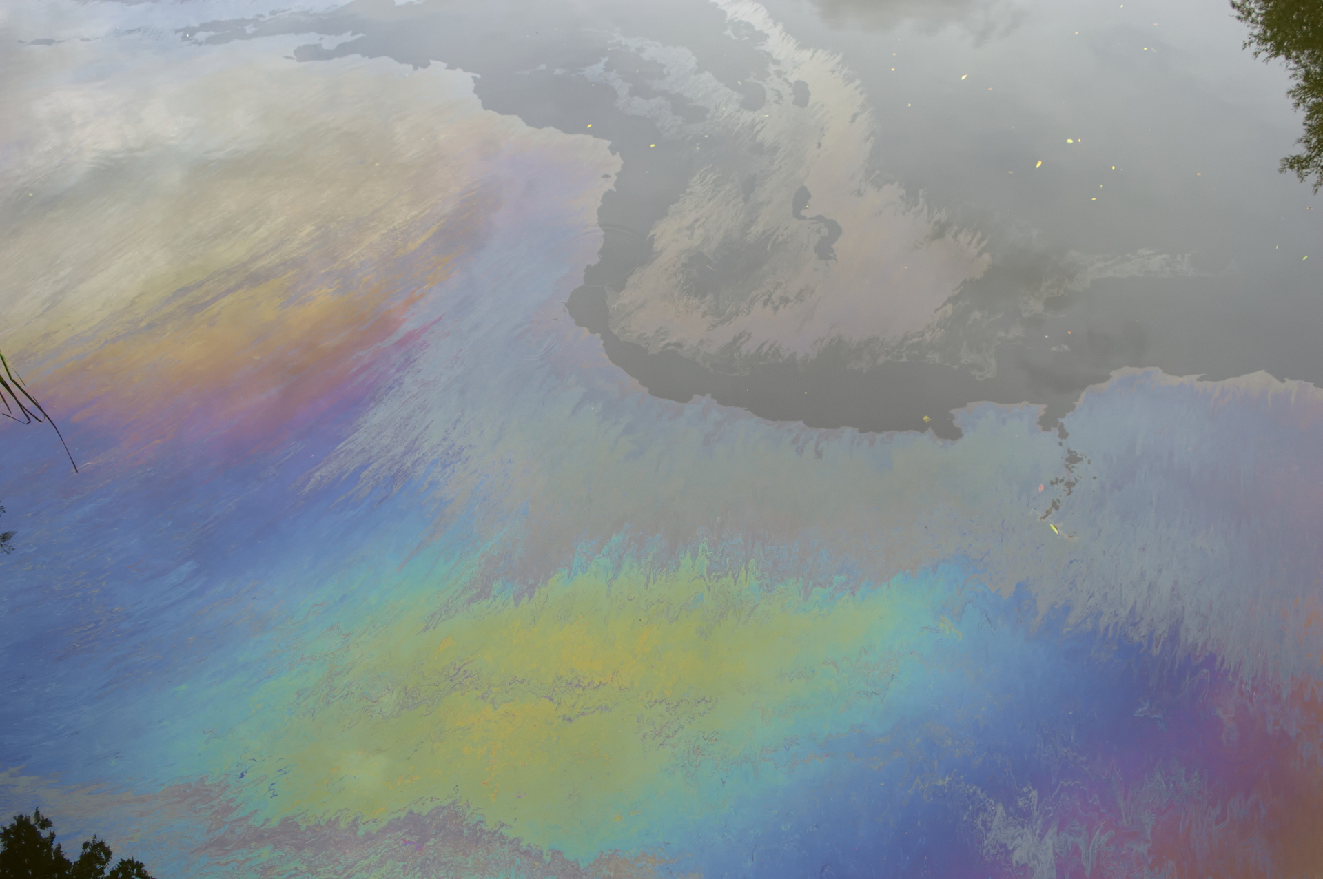 Dreamstime M 43045221 5fb6878b96ee7