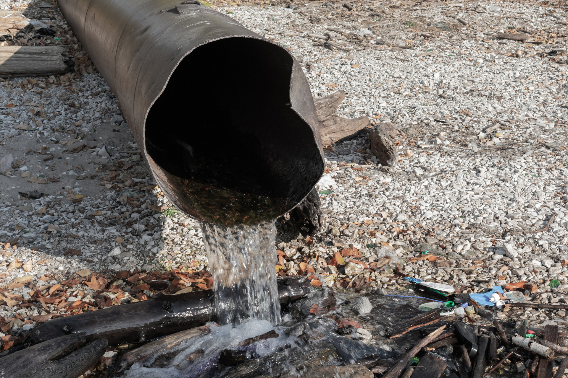 Dreamstime M 131078223 5fd908fdd706c