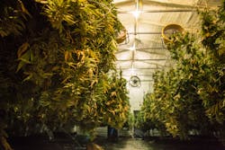 2102 W Tft0 P03 Dreamstime Xl 136745684 2102 W Tft0 P03 Dreamstime Xl 136745684