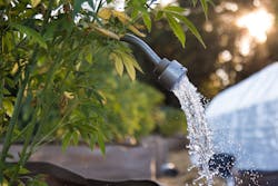 2102 Wft0 P01 Dreamstime Xl 175861373 600202c26a3f7 2102 Wft0 P01 Dreamstime Xl 175861373 600202c26a3f7