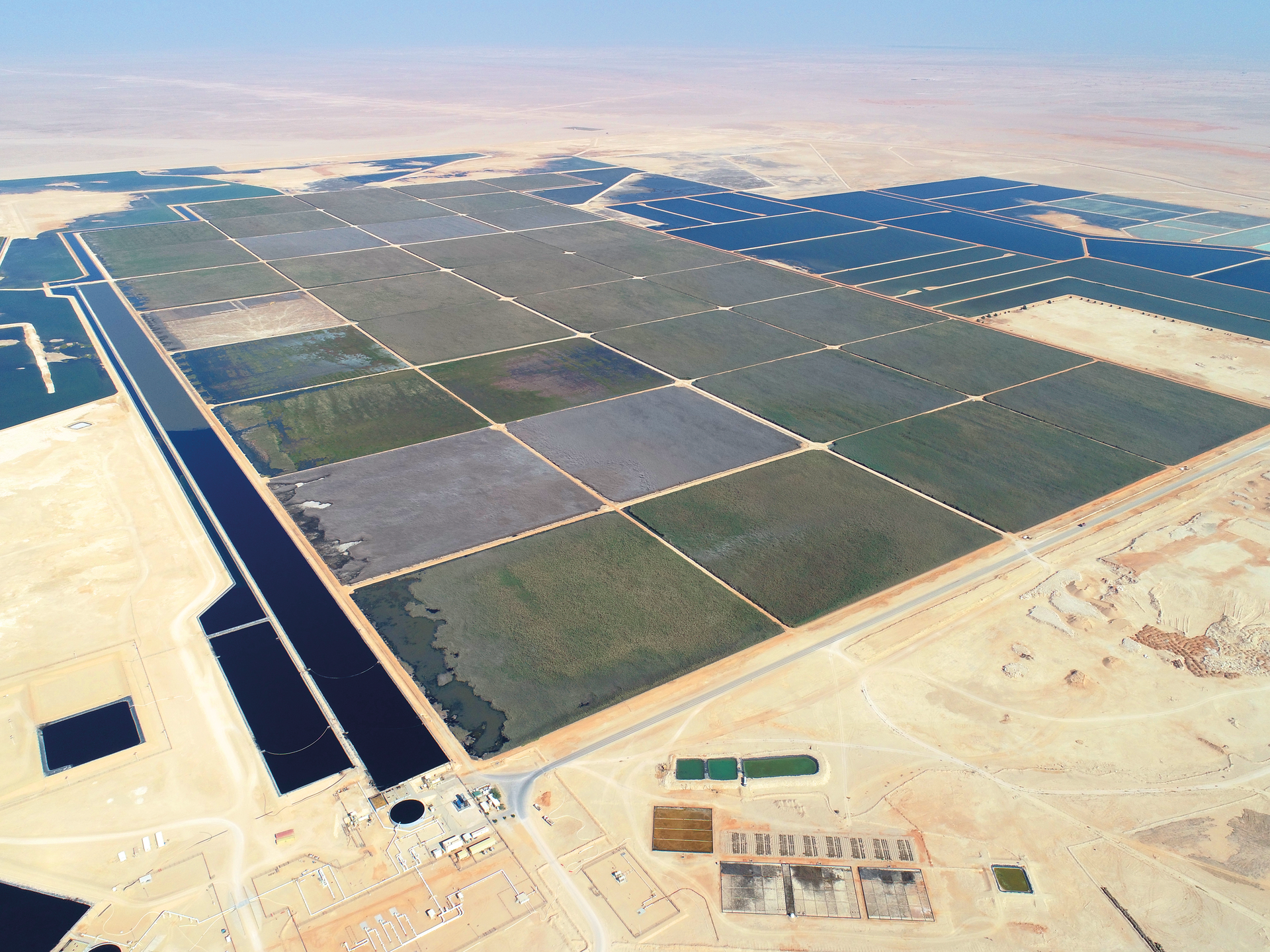 Bauer Resources GmbH's reed sewage treatment plant in Oman.