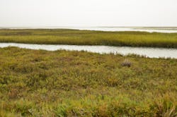 The Tijuana River Estuary in Imperial Beach, California. The Tijuana River Estuary in Imperial Beach, California.