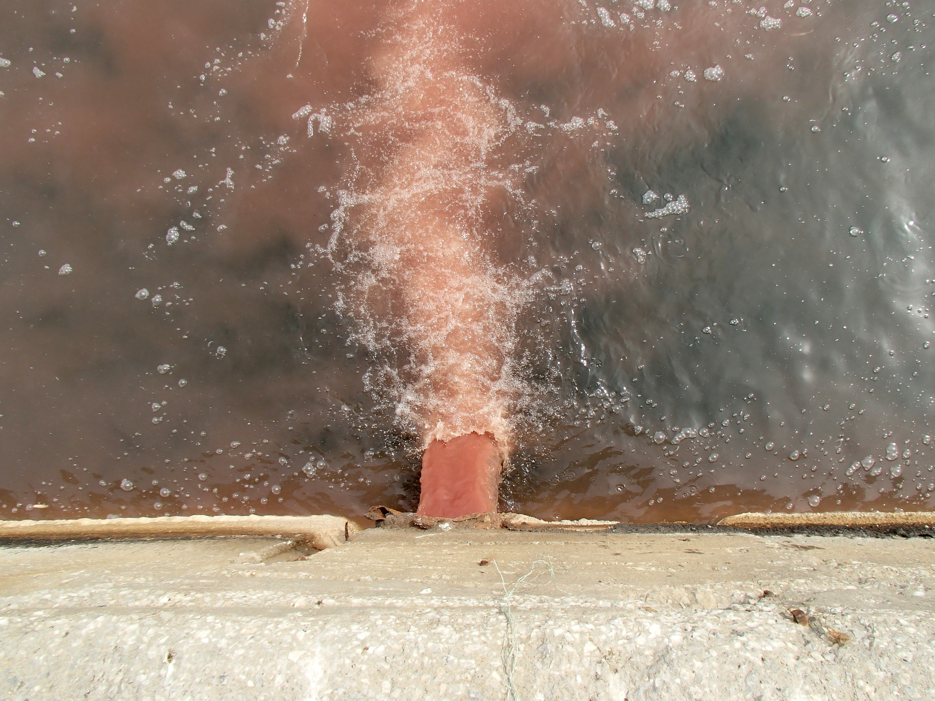 Dreamstime Xl 113808241 603e5bf6c209a