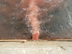 Dreamstime Xl 113808241 603e5bf6c209a Dreamstime Xl 113808241 603e5bf6c209a