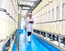 The water used in CP Foods' farming process is filtered by Ultra Filtration (UF) system from external sources and treated water, then it’s recirculated to be used within the shrimp farms. The water used in CP Foods' farming process is filtered by Ultra Filtration (UF) system from external sources and treated water, then it’s recirculated to be used within the shrimp farms.