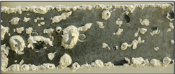 Figure 1. White rust on galvanized steel. Figure 1. White rust on galvanized steel.