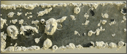 Figure 1. White rust on galvanized steel. Figure 1. White rust on galvanized steel.