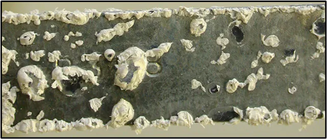 Modern Techniques for Corrosion/Fouling Protection in Mid-Sized Cooling ...