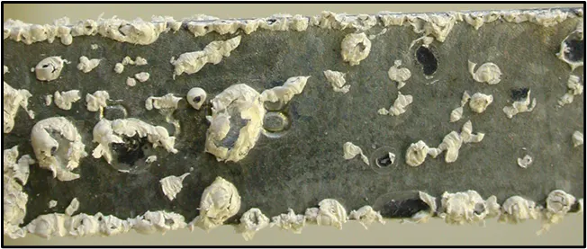 Modern Techniques for Corrosion/Fouling Protection in Mid-Sized Cooling ...