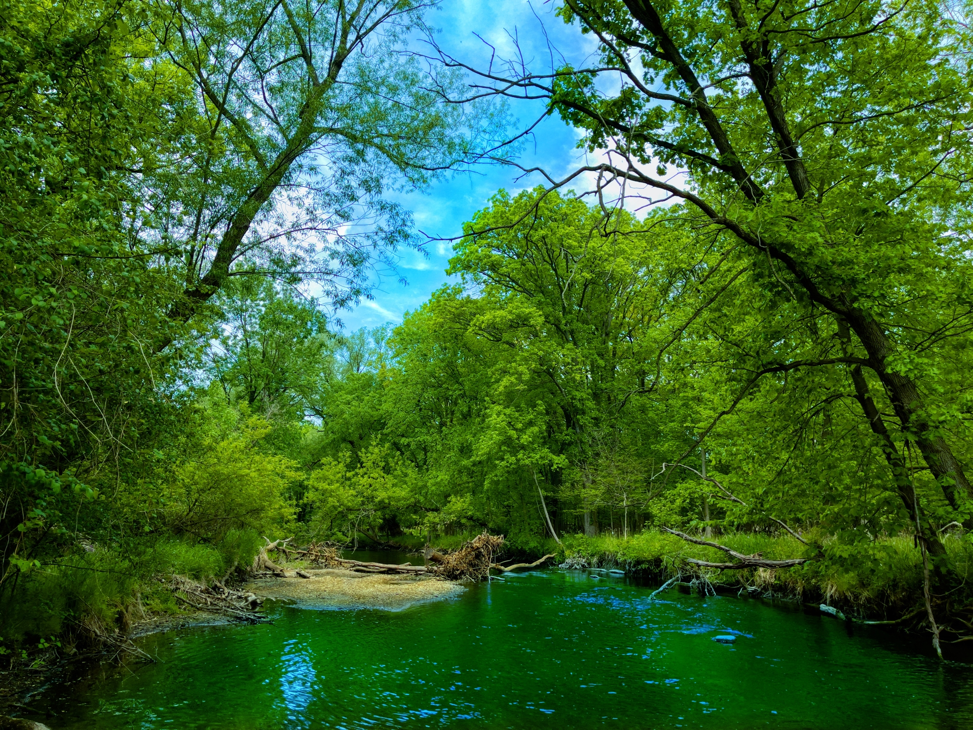 Dreamstime M 219709113 61098a93f3008