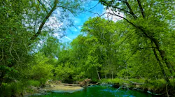 Dreamstime M 219709113