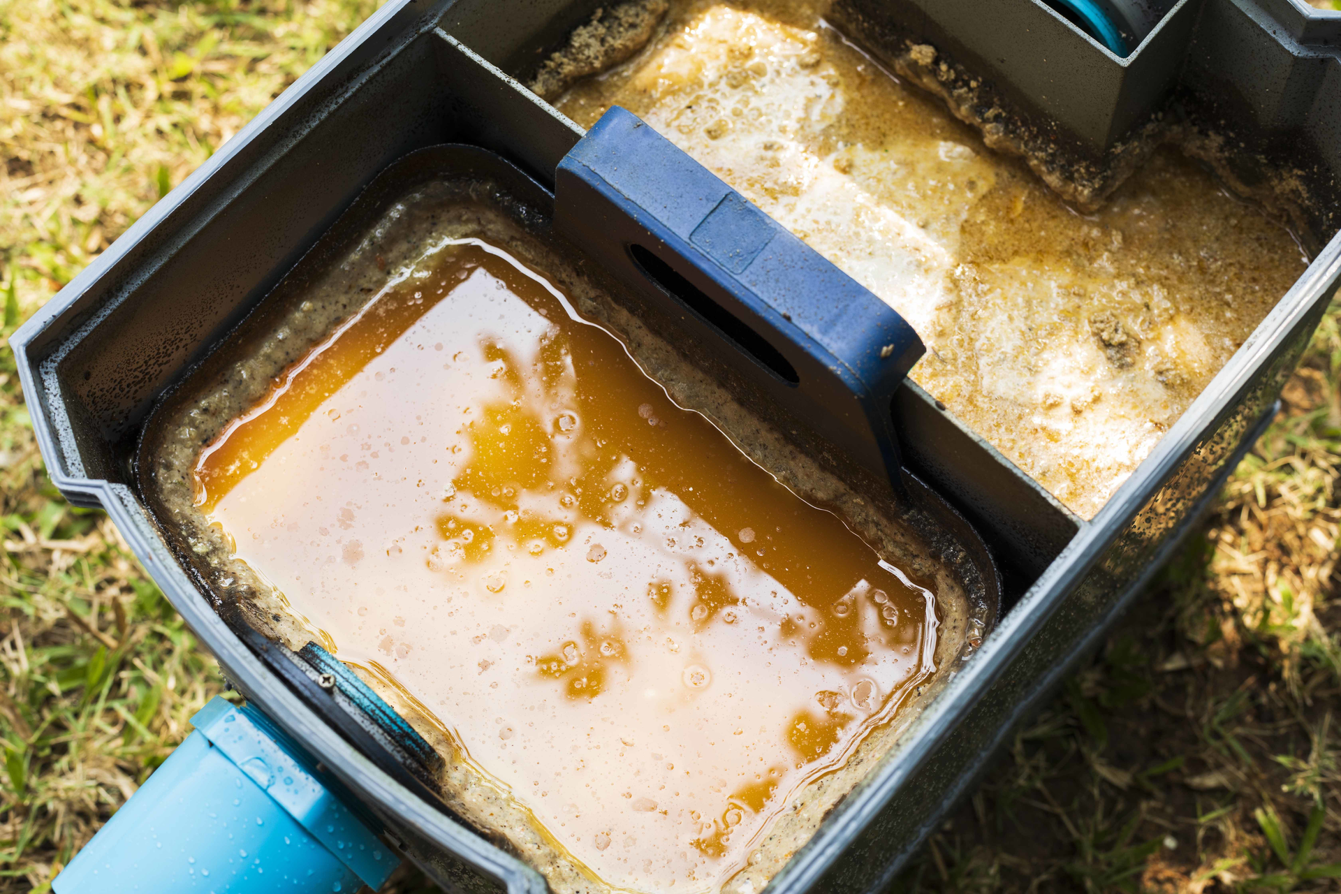 Image 3 619baf6f11c33