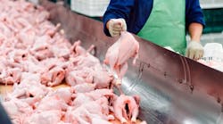 Dreamstime Xxl 154662496 Dreamstime Xxl 154662496