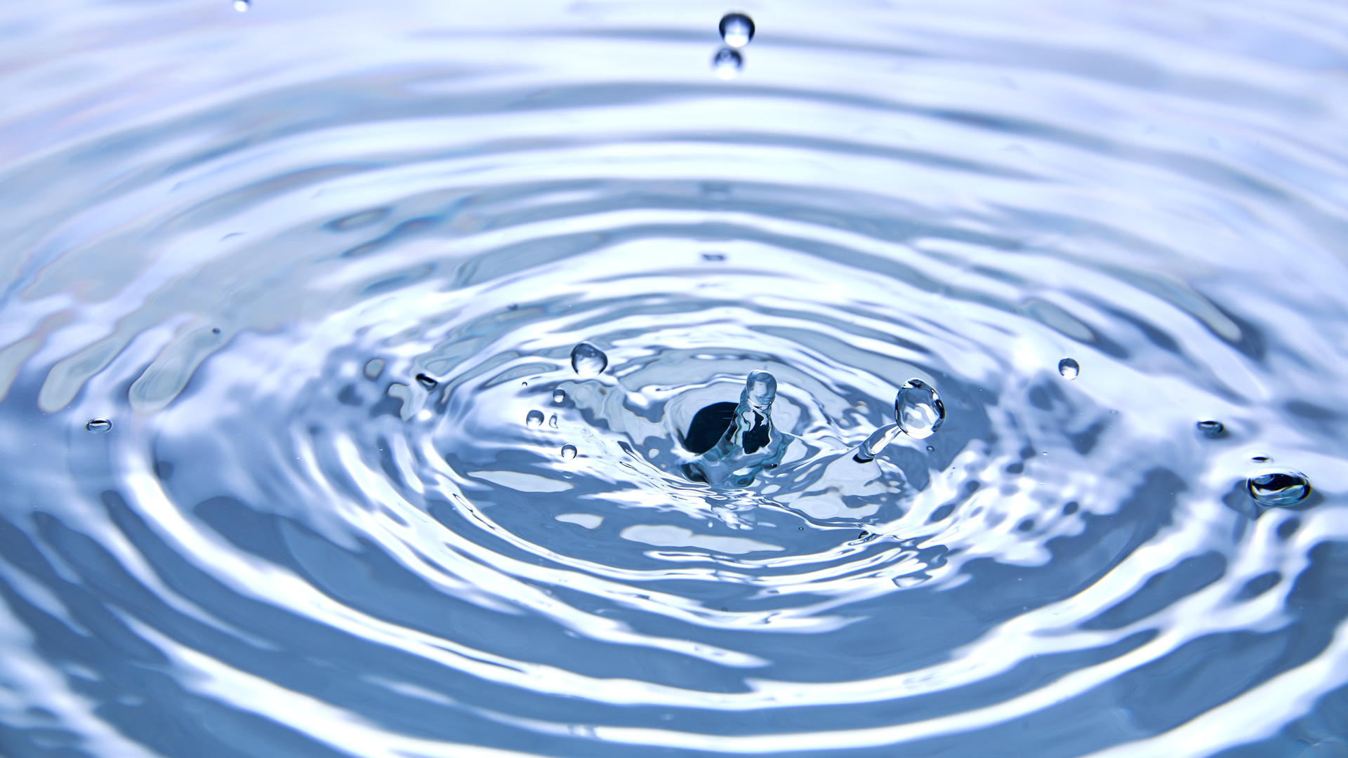 Dreamstime Xxl 142339837 6262cb56973e2