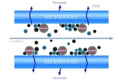 Figure 3: A general schematic of crossflow filtration. Figure 3: A general schematic of crossflow filtration.