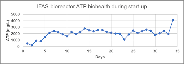 Bioaugmentation: When secondary treatment is of primary importance ...