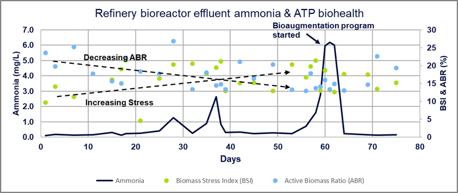 Bioaugmentation: When secondary treatment is of primary importance ...