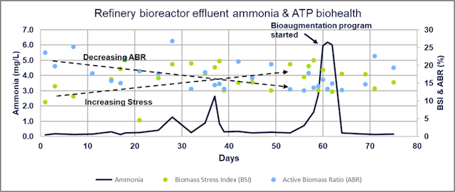 Bioaugmentation: When secondary treatment is of primary importance ...