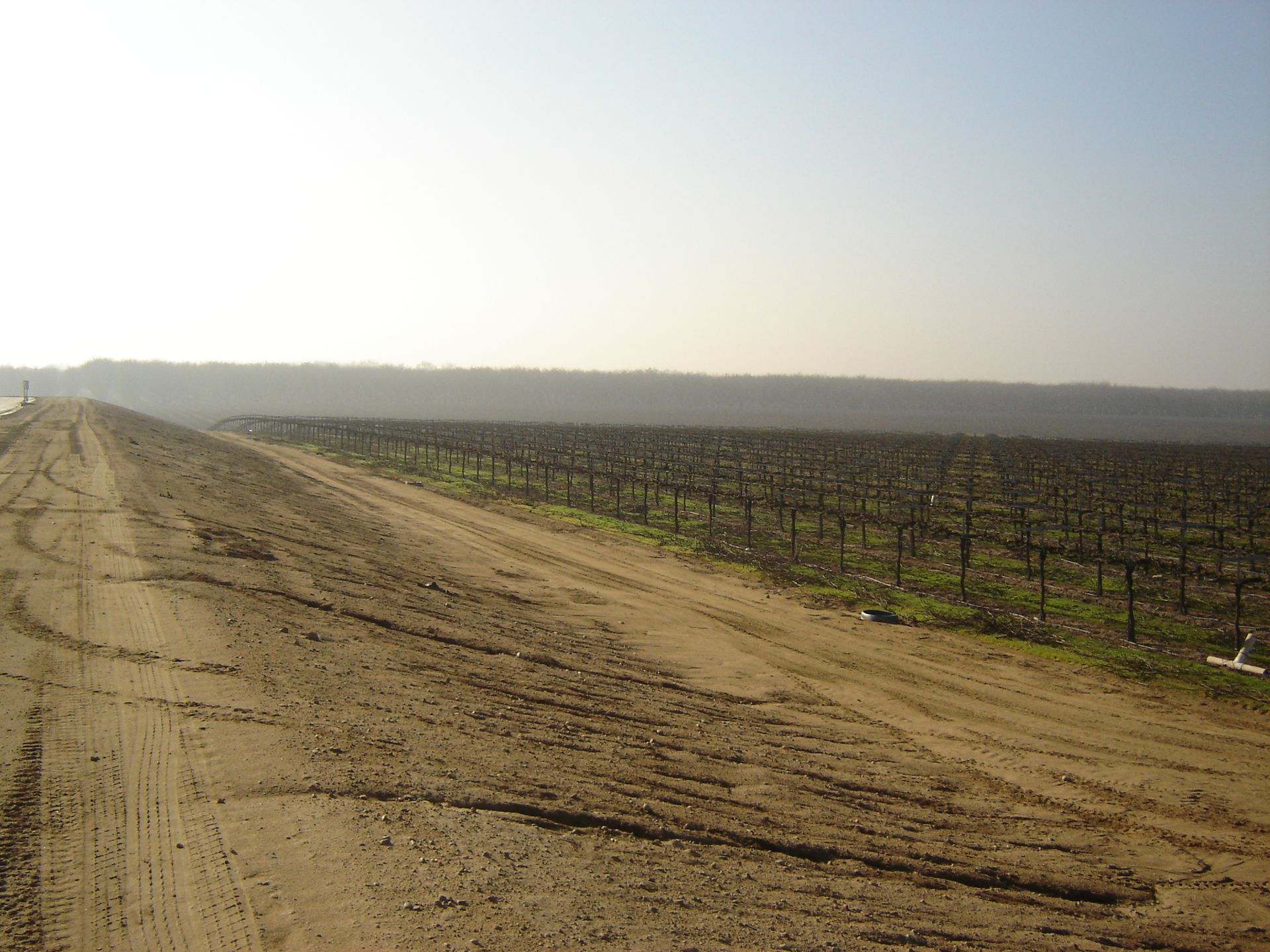 McManis Family Vineyards, a Certified California Sustainable Winery, extends across 3,600 acres in the Central Valley, approximately 80 miles east of San Francisco.
