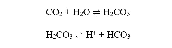 Buecker Part2 Equations