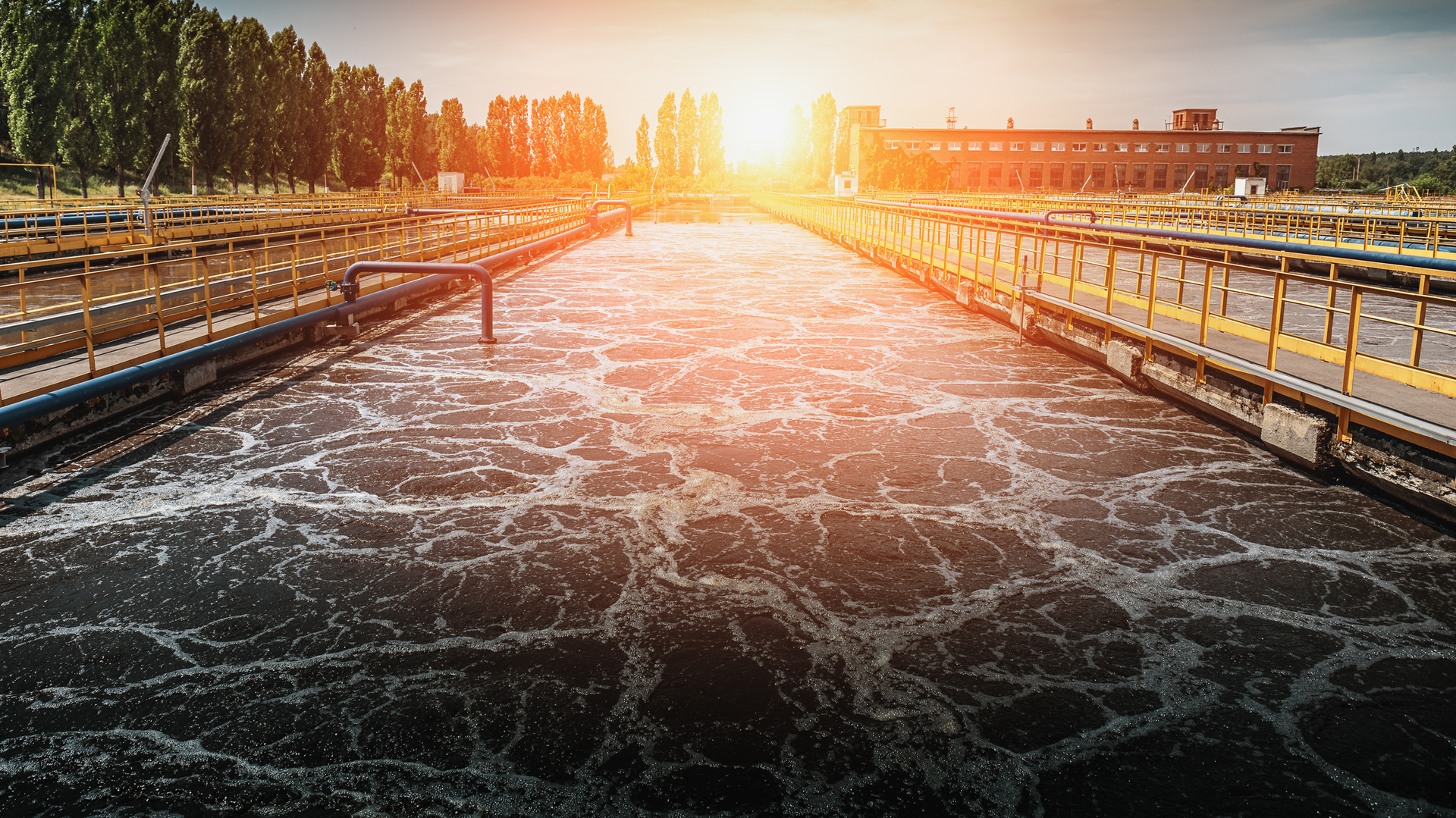 Dreamstime Xxl 156942159