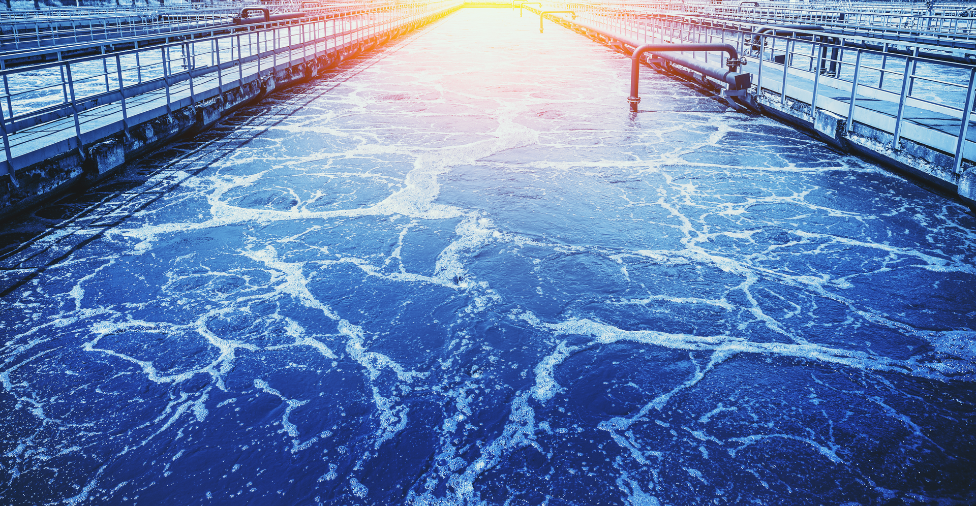 Dreamstime Xxl 192128970 (2)