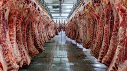 Adobe Stock 491347203 64e3d0967d0e3 Adobe Stock 491347203 64e3d0967d0e3