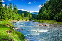 Figure 1: Environmental wastewater discharge regulations exist to protect ecosystems, natural water resources — like rivers and lakes — the food chain and human health. Figure 1: Environmental wastewater discharge regulations exist to protect ecosystems, natural water resources — like rivers and lakes — the food chain and human health.