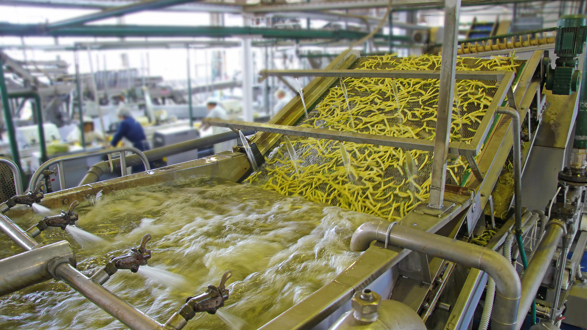 Dreamstime M 138438674 6515c78193f3f