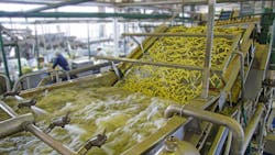 Dreamstime M 138438674 6515c78193f3f Dreamstime M 138438674 6515c78193f3f