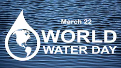 65fc6731efc780001e04ee58 Dreamstime Xxl 172681419 65fc6731efc780001e04ee58 Dreamstime Xxl 172681419