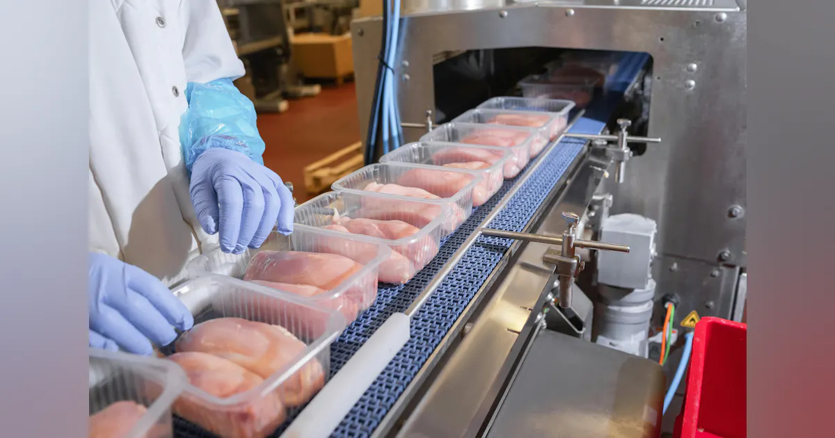 Case study: Meat rendering facility enhances tallow recovery process ...