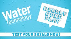 wt_word_play_cover wt_word_play_cover