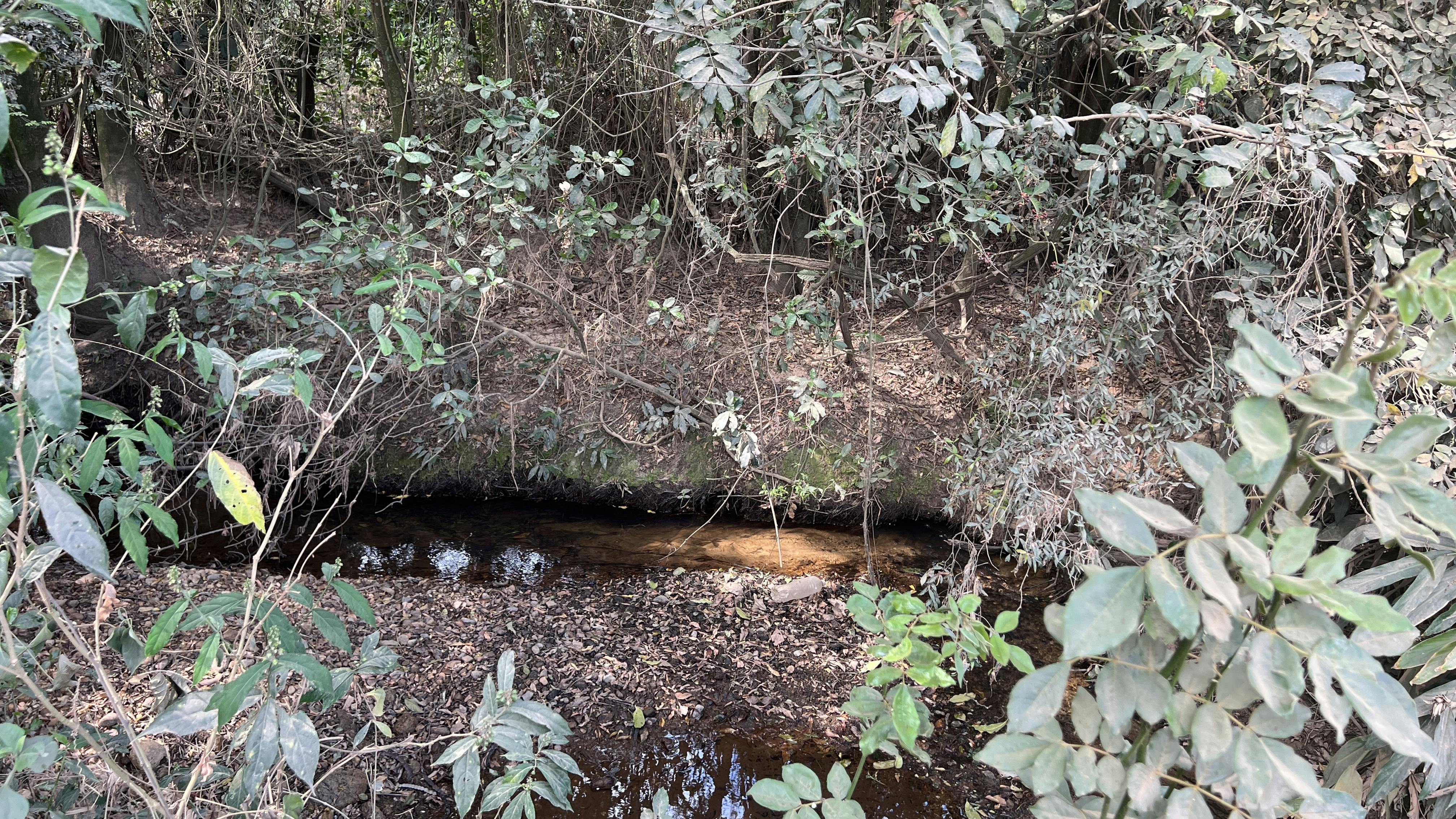 As part of its Twentyby30&trade; goal to replenish 100% of water consumed from high-stressed watersheds by 2030, Crown worked with The Nature Conservancy on a water conservation project called the S&atilde;o Paulo Water Fund, which aimed to improve the water security of the Jundia&iacute; Mirim Watershed in Brazil.