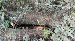 As part of its Twentyby30™ goal to replenish 100% of water consumed from high-stressed watersheds by 2030, Crown worked with The Nature Conservancy on a water conservation project called the São Paulo Water Fund, which aimed to improve the water security of the Jundiaí Mirim Watershed in Brazil.