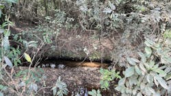 As part of its Twentyby30™ goal to replenish 100% of water consumed from high-stressed watersheds by 2030, Crown worked with The Nature Conservancy on a water conservation project called the São Paulo Water Fund, which aimed to improve the water security of the Jundiaí Mirim Watershed in Brazil. As part of its Twentyby30™ goal to replenish 100% of water consumed from high-stressed watersheds by 2030, Crown worked with The Nature Conservancy on a water conservation project called the São Paulo Water Fund, which aimed to improve the water security of the Jundiaí Mirim Watershed in Brazil.