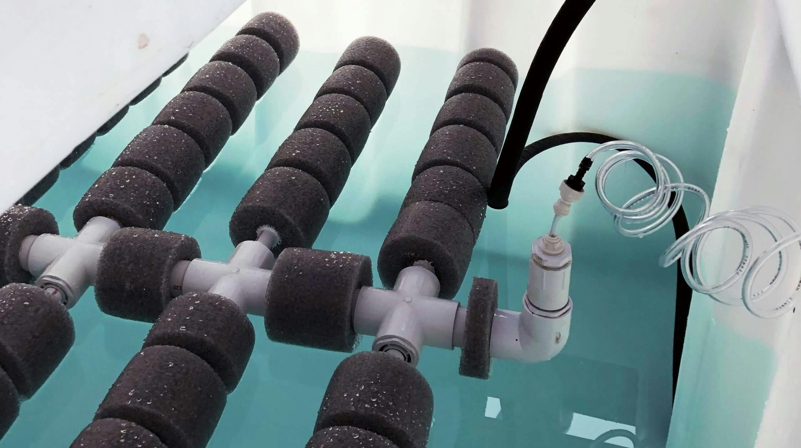 Aquacycl&rsquo;s SulfideFix has shown effective total sulfur removal from tanks in a variety of uses including brewery, beverage and sewage applications.