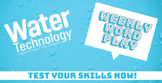 6716c5a071a3682ce34da06d Wt Word Play Cover