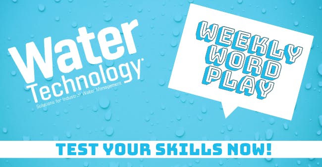 671fd1243a4bf829b2e16e56 Wt Word Play Cover