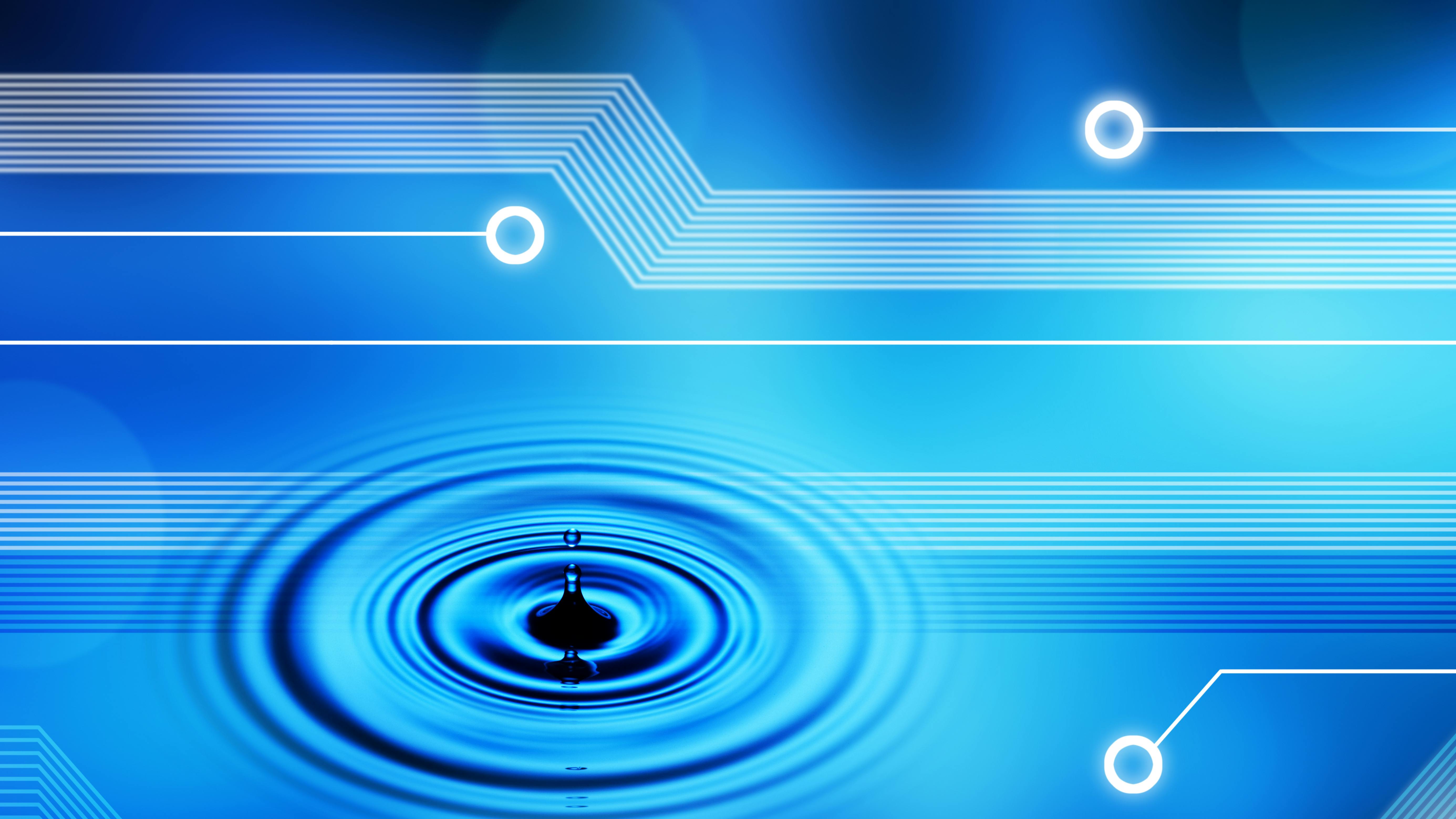 dreamstime_xxl_13369419