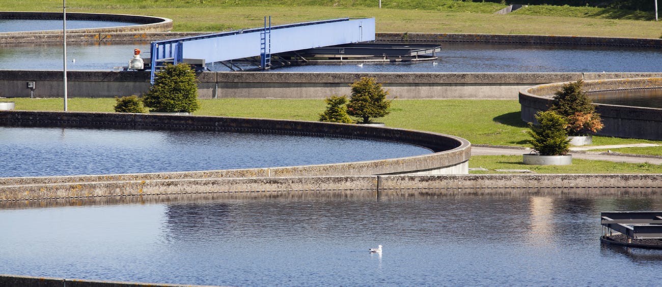 dreamstime_xxl_31541548