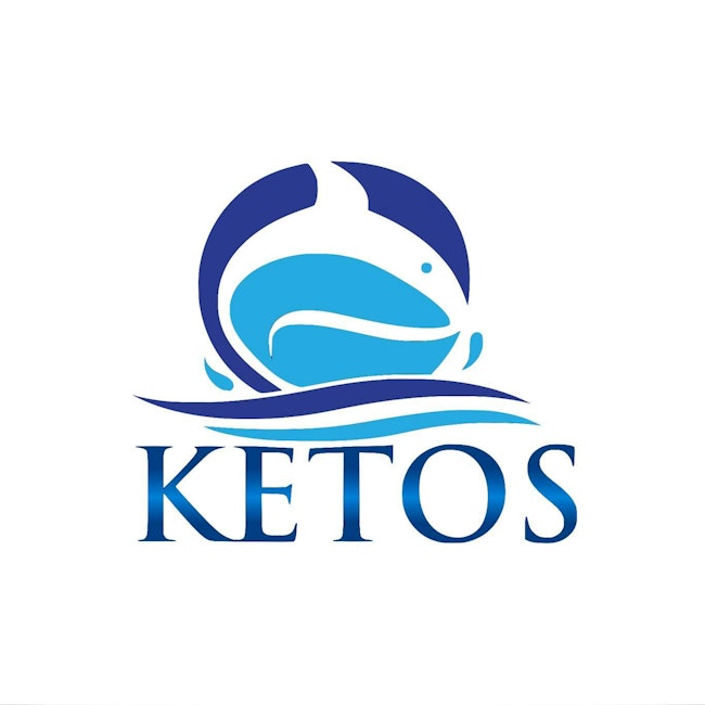 6792c02d9f69c30a53f57b20 Ketos Logo 2