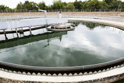 67b36032866bea7cc3f95906 Dreamstime Xxl 80827785 67b36032866bea7cc3f95906 Dreamstime Xxl 80827785